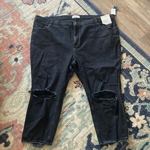 Abercrombie ankle straight short length